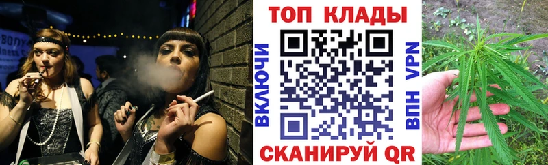 Псилоцибиновые грибы Новозыбков