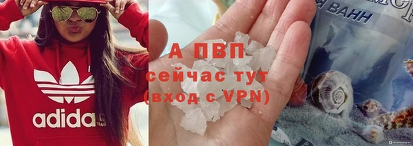 шишки Баксан