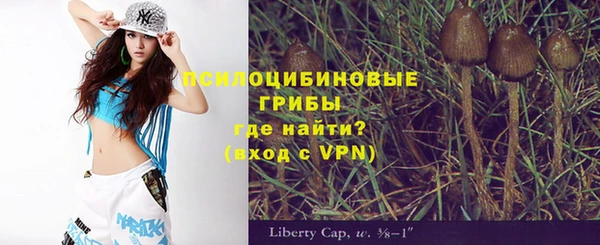 круглые Гусев