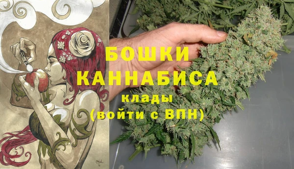 бошки Аркадак