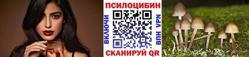 Галлюциногенные грибы мицелий  MEGA онион  Новозыбков 